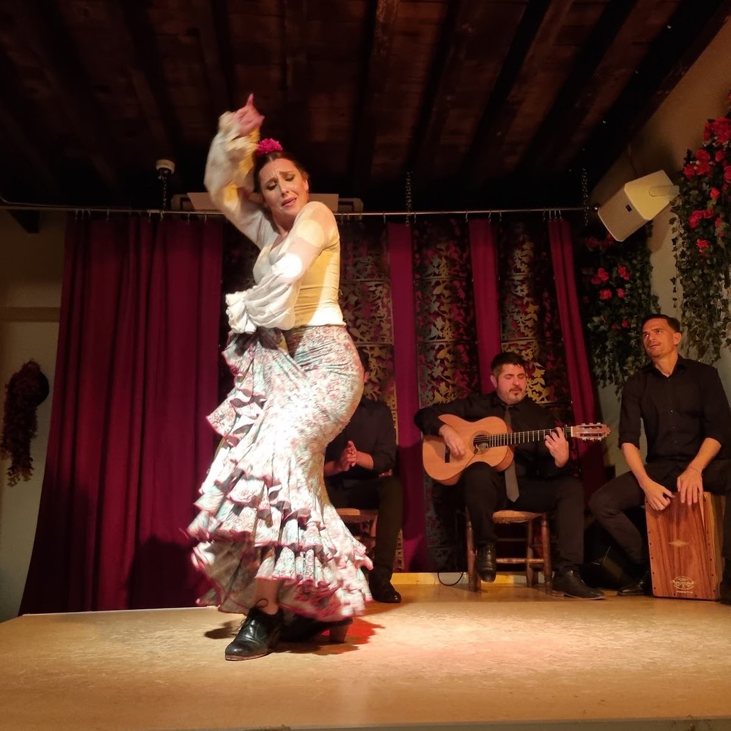Espectáculo Flamenco 1